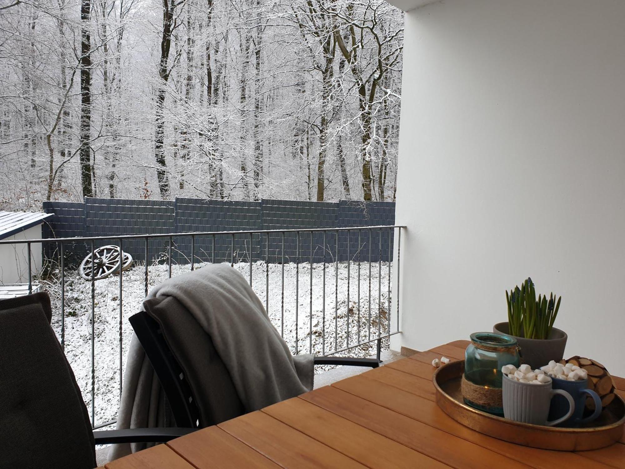 Fewo Winter In Der Villa Waldrand Mit Zwei Balkonen Bad Wünnenberg Extérieur photo
